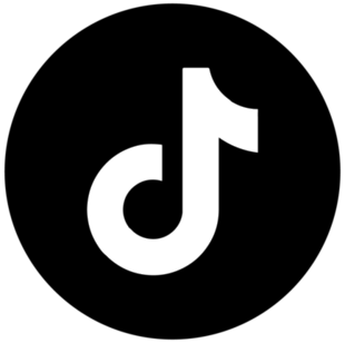 TikTok Icon