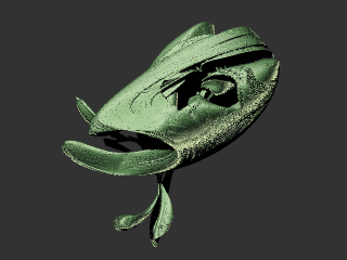 Rampe 5 3D Strange Attractor