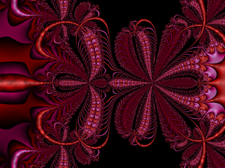 Root-Finding Fractal